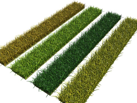 Modern Lawn Grass Weeds Weeds Plant Vegetation