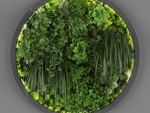 Vertical Garden 072