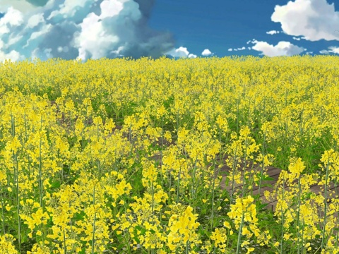 Modern flowers and plants Rape flowers Vegetable field Flower sea landscape Plant agriculture Manor landscape