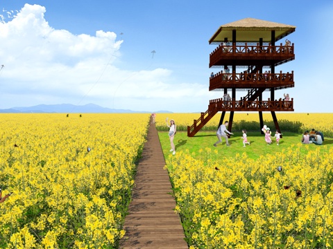 Modern flowers and plants Rape flowers Vegetable field Flower sea landscape Plant agriculture Manor landscape