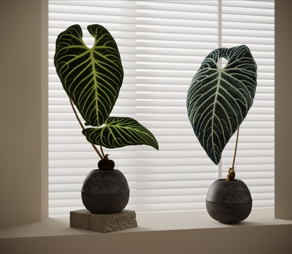green plant potted plant