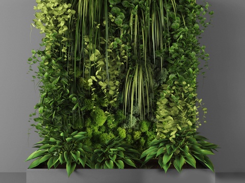 Modern Plant Wall Plant Wall Plant