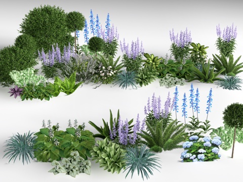 Modern landscape plants bushes flowers
