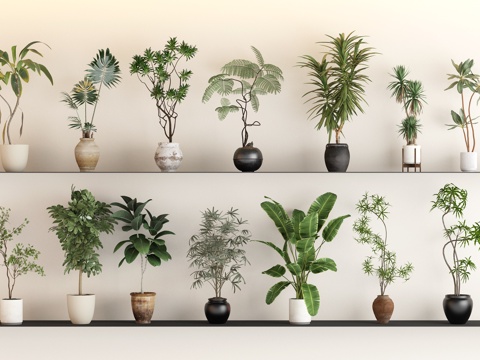 green plant green plant combination potted plant