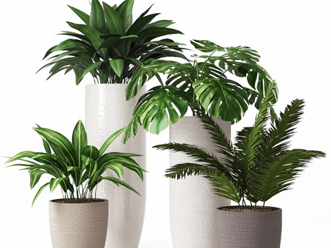 green plant potted plant