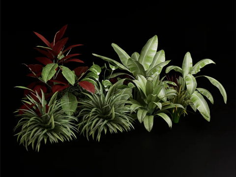 Popular flowers and plants combination