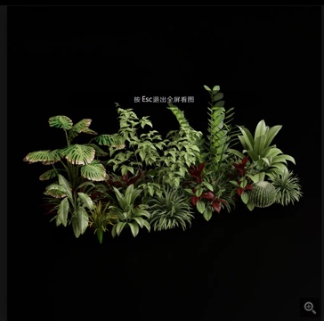 Popular flowers and plants combination