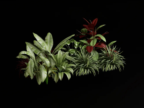 Popular flowers and plants combination
