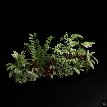 Popular flowers and plants combination