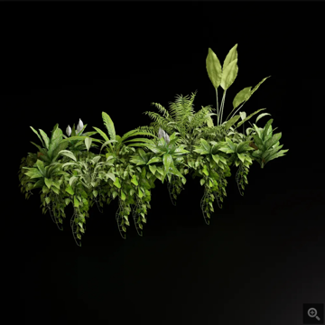 Popular flowers and plants combination