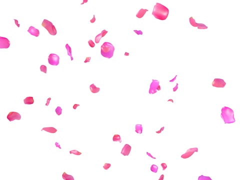 Falling Petals Rose Petals Peony Petals Safflower Floating Flowers Falling Flowers