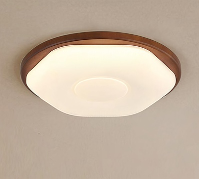 Middle Aged Ceiling Lamp Decorative Light