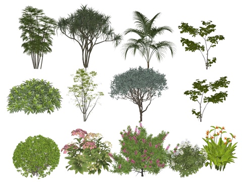 Modern Plant Flower Combinations
