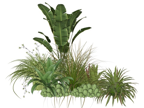 Modern Plant Flower Combination Plants
