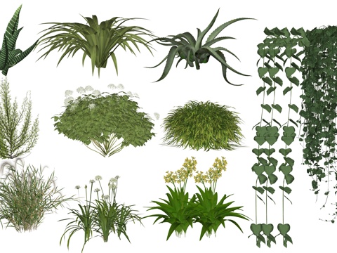Modern Plant Flower Combinations