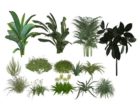 Modern Plant Flower Combinations