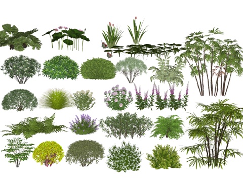 Modern Plant Flower Combinations