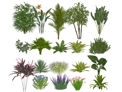 Modern garden flowers and plants combination