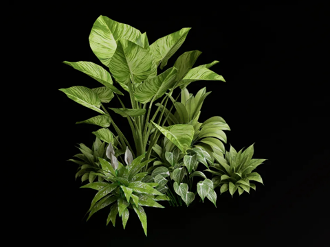 Popular flowers and plants combination