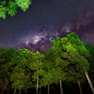 Outdoor starry night view