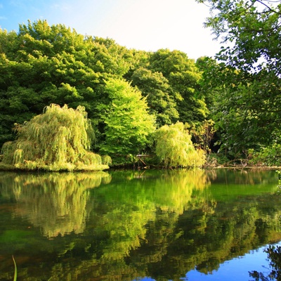 Autumn River Scenery