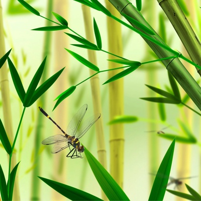 bamboo dragonfly wallpaper