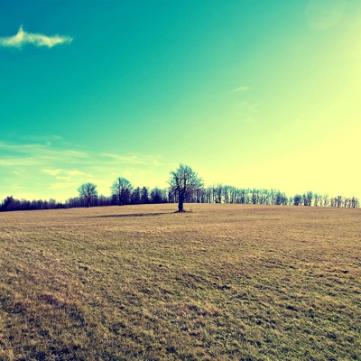 Farm Scenery