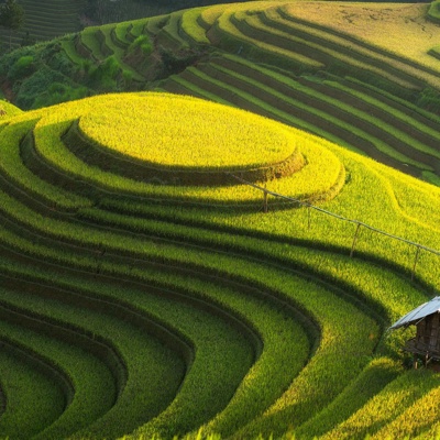 Terrace Scenery