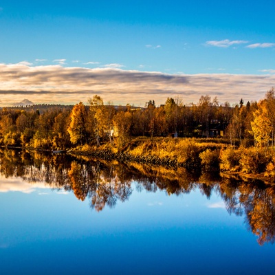 Forest Lake Sky