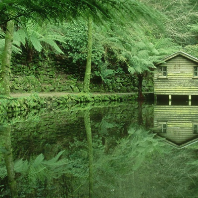 Green eye protection landscape