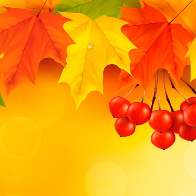 Autumn Maple Leaf Wallpaper