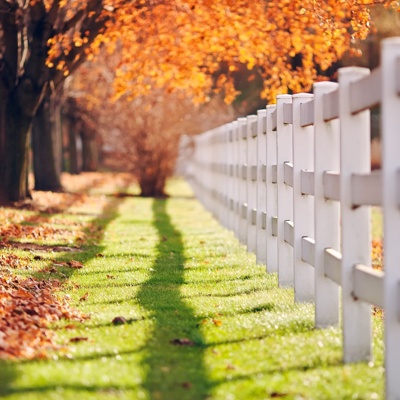 Autumn leaves landscape