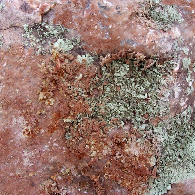 Natural Stone Stone Skin Rock Texture