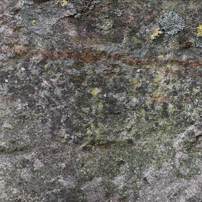 Stone Moss Wallpaper