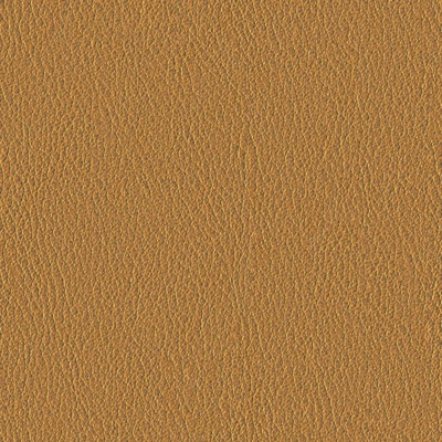 Seamless fine grain leather