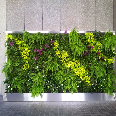 Plant wall decoration