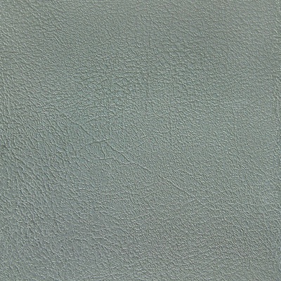 Seamless fine grain leather