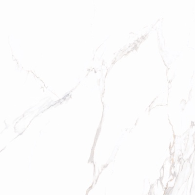 Platinum White Marble Tile Rock Slab