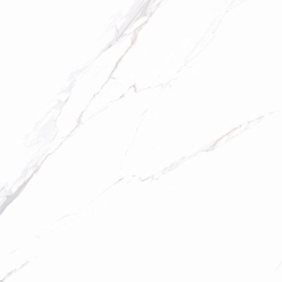 Platinum White Marble Tile Rock Slab