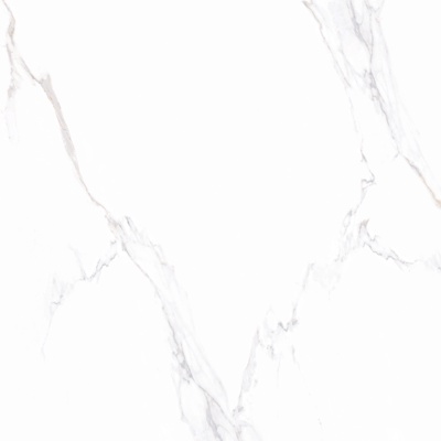 Platinum White Marble Tile Rock Slab