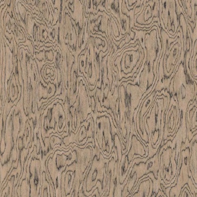 Technology Wood Skin