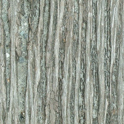 Seamless cracked dried bark texture