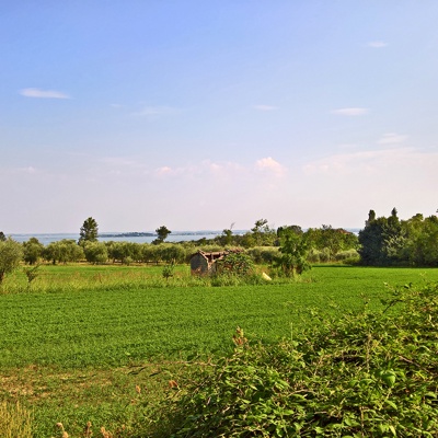 Blue Sky Country Landscape Scenery