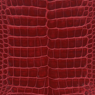 Seamless red alligator leather texture