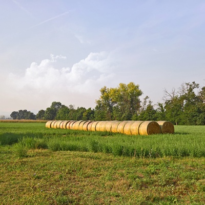 Rural landscape landscape