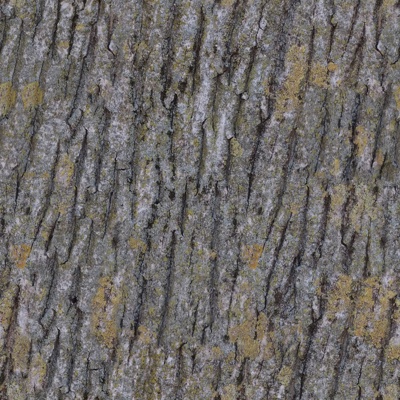 bark