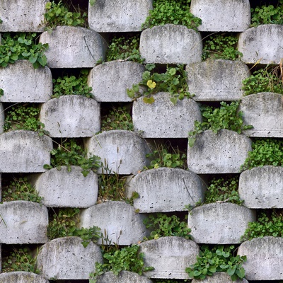 Seamless concrete cement building plant wall