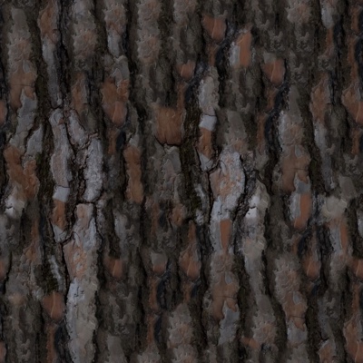 bark