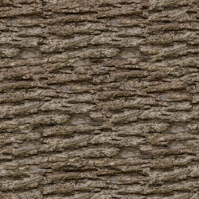 bark