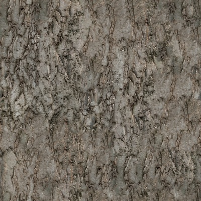 bark